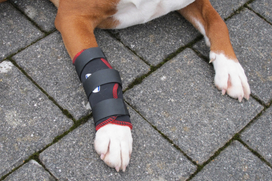 TSM vet-Reha-Bandage Vorderbein ihres Hundes unter Tierbandagen